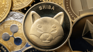 shiba inu coin price prediction calculator