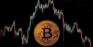 tectonic crypto price prediction