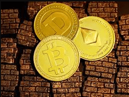 elon crypto coin price prediction