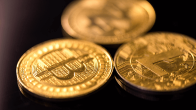 mina price prediction