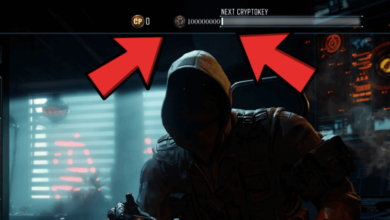 bo3 crypto key glitch