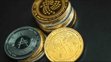 impt crypto price prediction