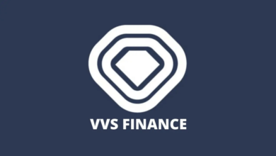 vvs finance price prediction