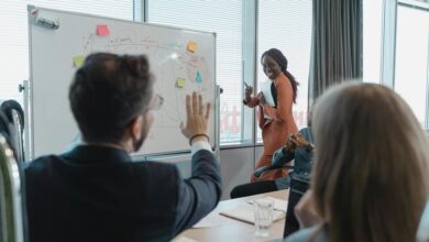 drive online business solutions 149 56 24 266