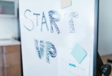 expand digital marketing growth experts