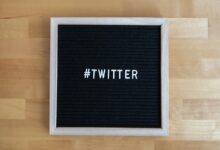 expand online authority platform