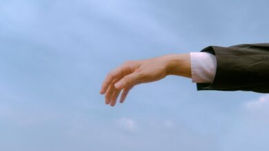 expand your digital reach platform