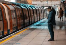 grow online presence digitally platform