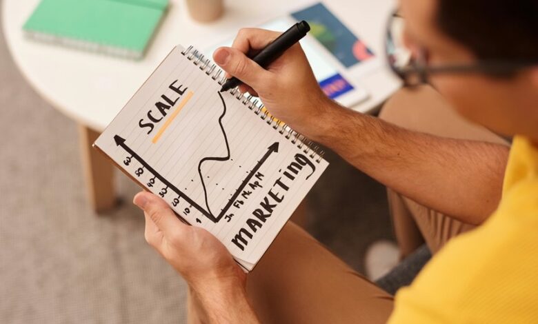 scale your online platform marketing experts