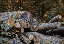 inspect and log number entries accurately