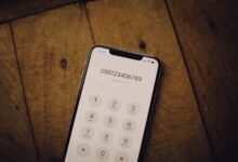 phone numbers listed in registry insights