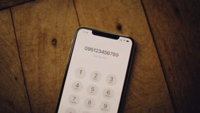 phone numbers listed in registry insights
