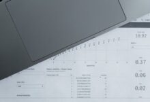 public registry reports search ids