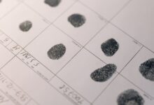 registry search evidence for given ids