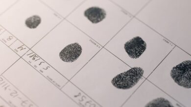 registry search evidence for given ids