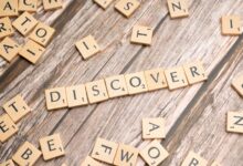 registry search findings identifiers listed