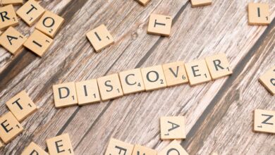 registry search findings identifiers listed