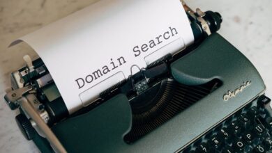 registry search reports include four numbers
