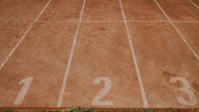track numbers registry findings list