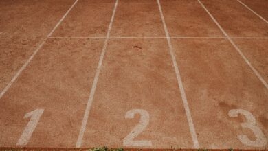 track numbers verification details provided